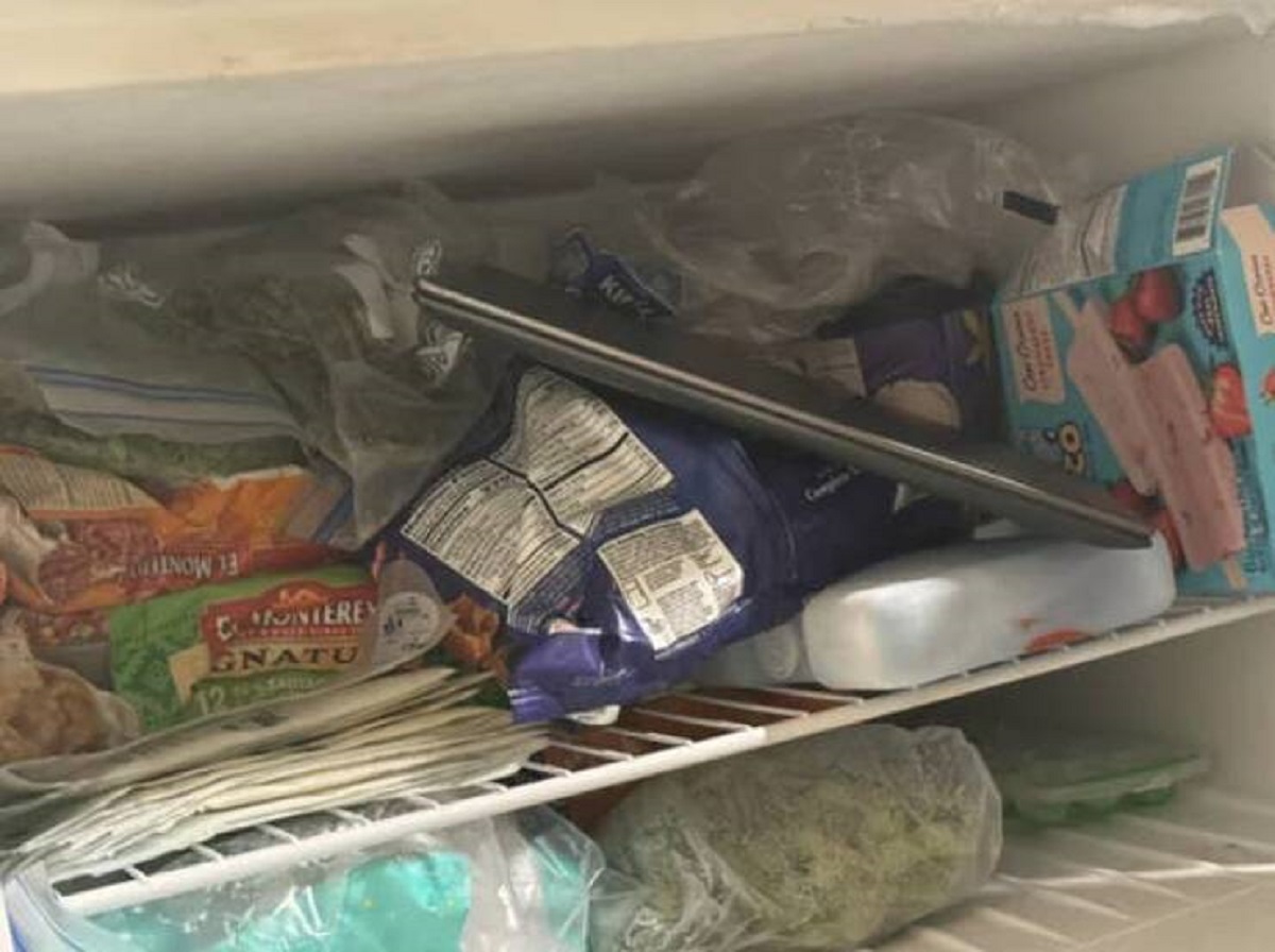 "My partner put my laptop in the freezer because it was overheating."