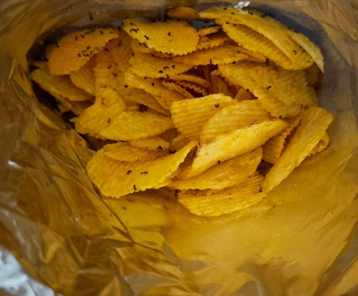 “Ants got into this bag of chips I left out overnight.”