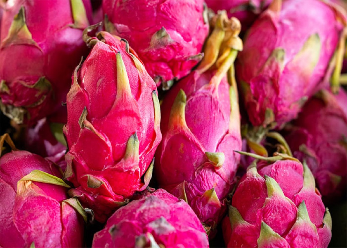 Dragon fruit isn’t an exotic Asian fruit. It’s a cactus fruit, and as such are native to the Americas and can even be grown in the US.