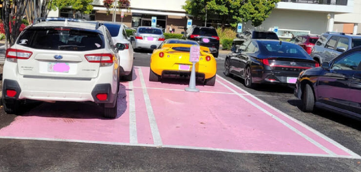 "Breast cancer survivor parking."