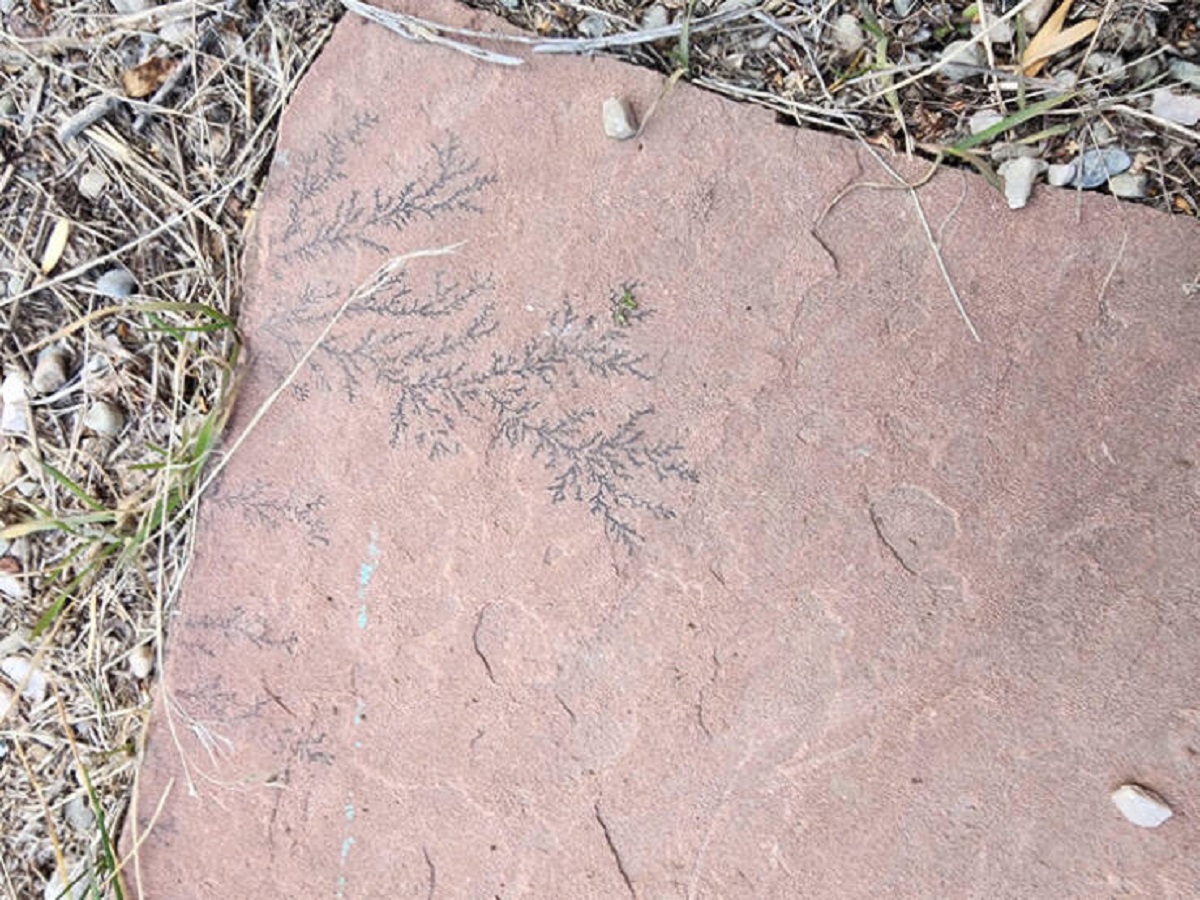 "Strange pattern on a stepping stone outside my shed. Looks like electricity."