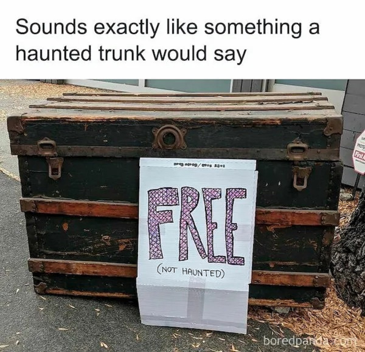 Internet meme - Sounds exactly something a haunted trunk would say Free Not Haunted Prote First A boredpandco