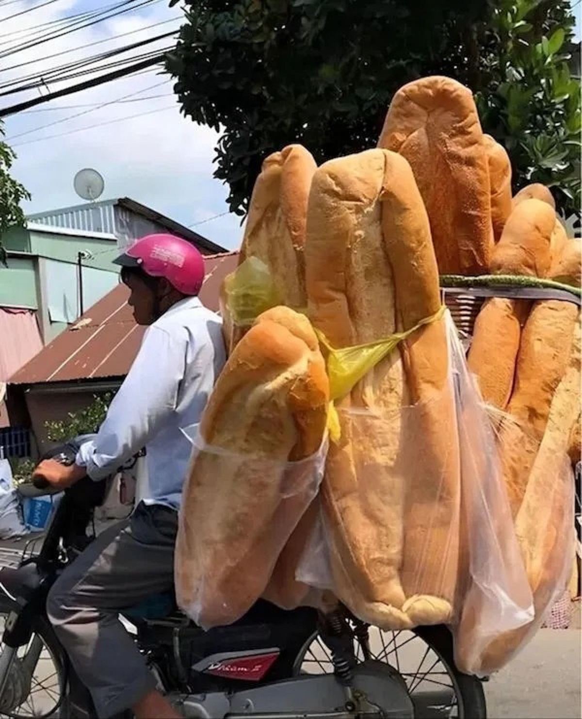 funny big bread