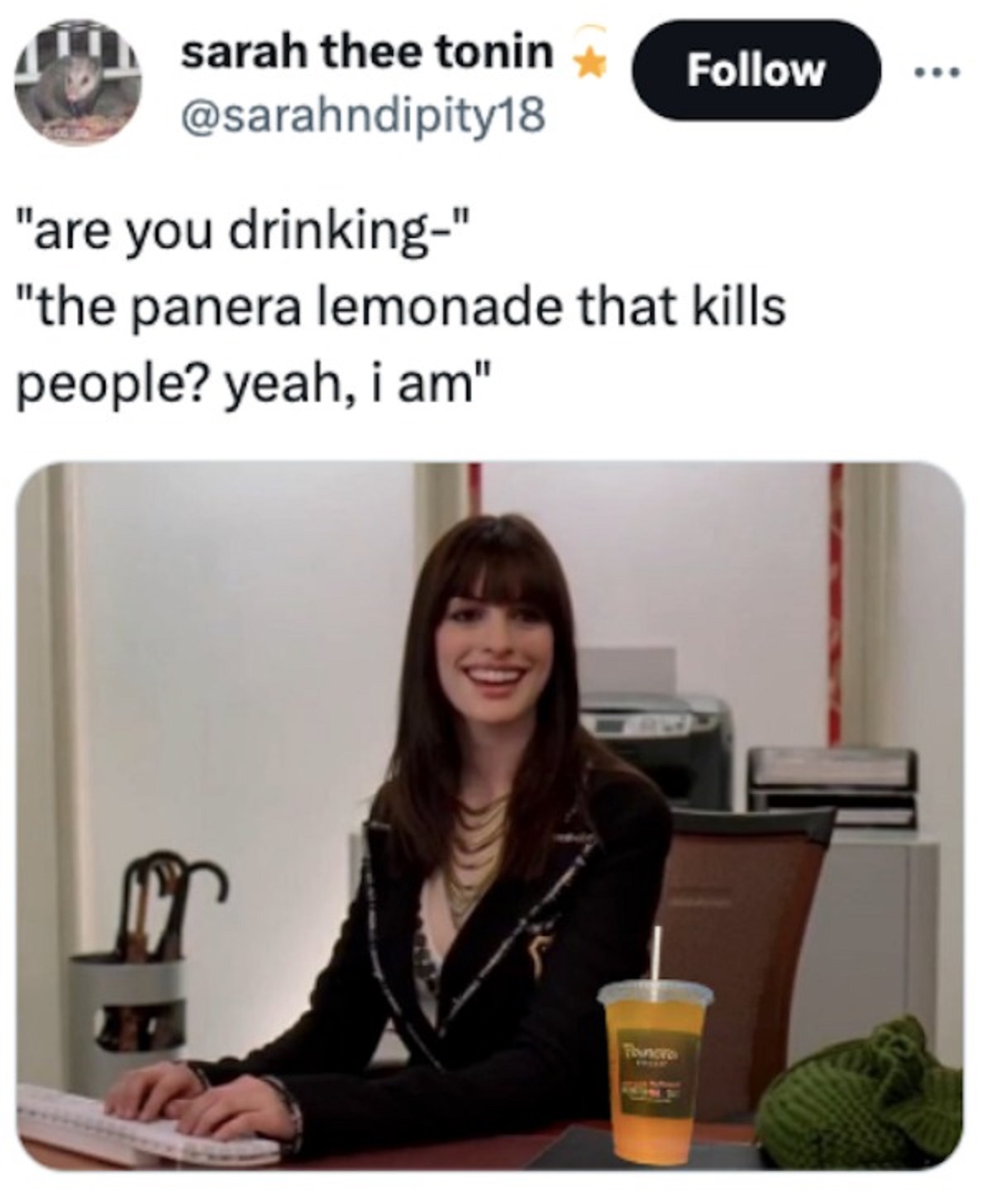 presentation - sarah thee tonin "are you drinking" "the panera lemonade that kills people? yeah, i am" Ponoro