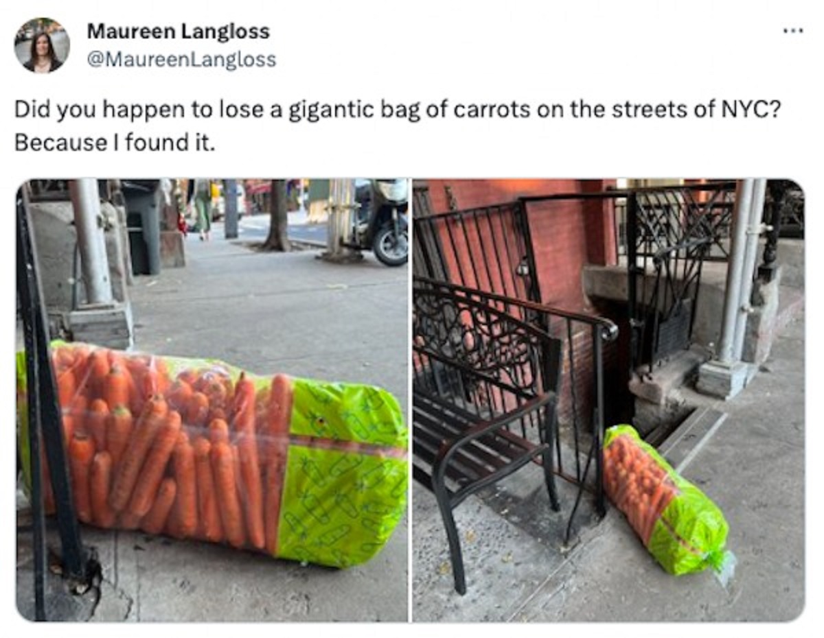 produce - Maureen Langloss Did you happen to lose a gigantic bag of carrots on the streets of Nyc? Because I found it.