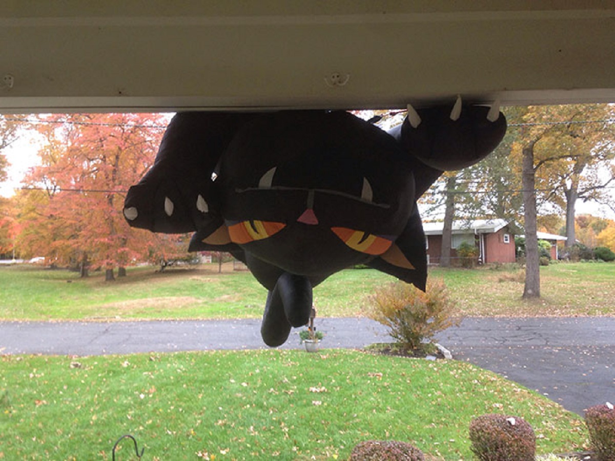 For Halloween I Had An Inflatable Cat On My Roof. Last Night It Was Very Windy. This Is What Greeted Me When I Opened The Door This Morning