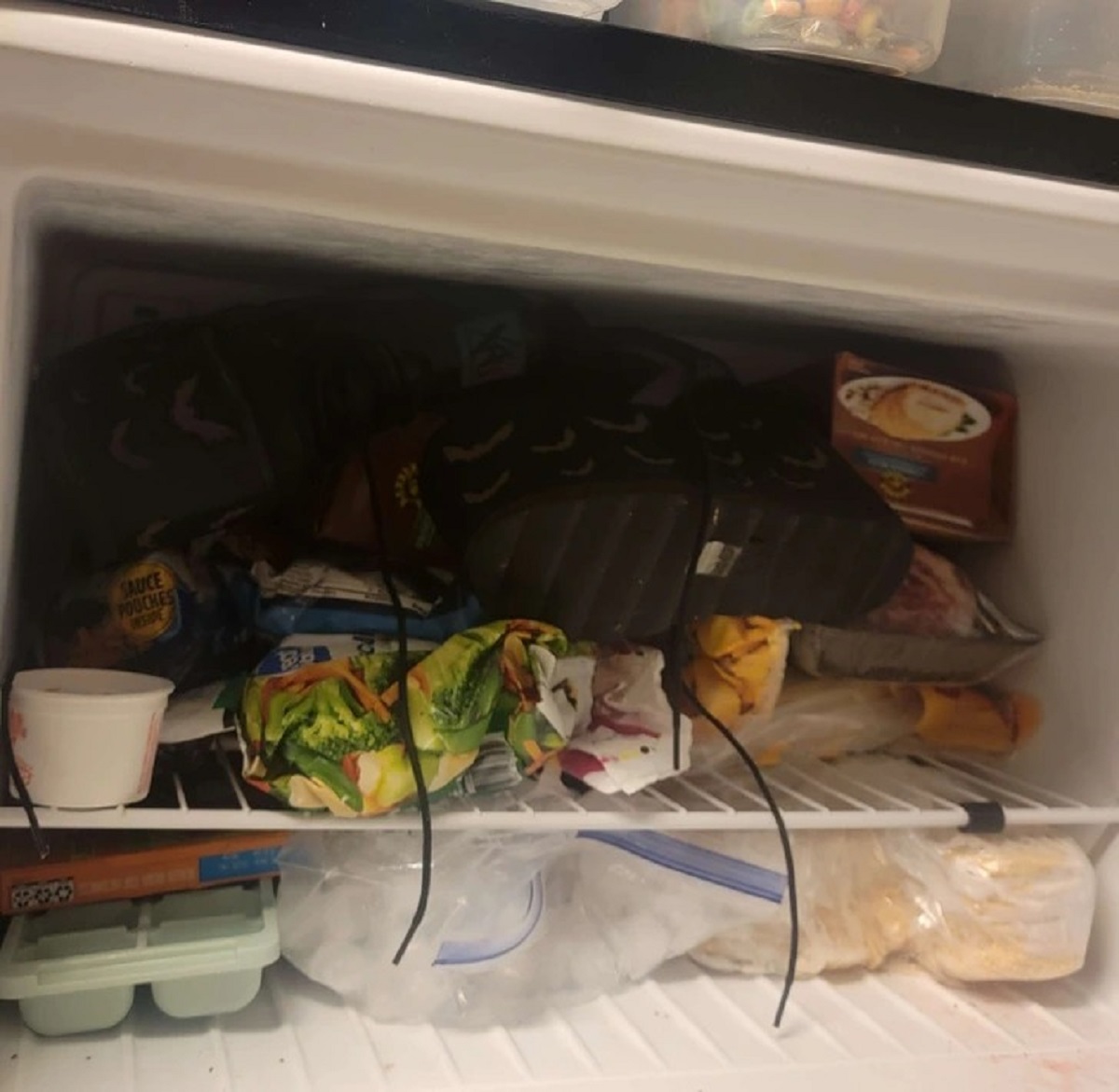 “My girlfriend put her new shoes in the freezer.”