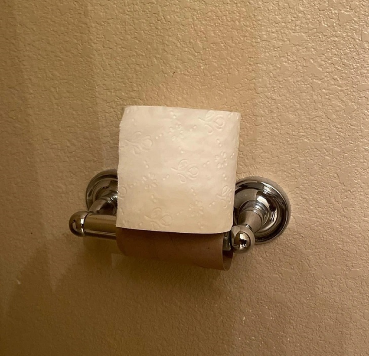 “Instead of any of my 4 siblings that I share a bathroom with replacing the tissue like a normal person, they do this. ”