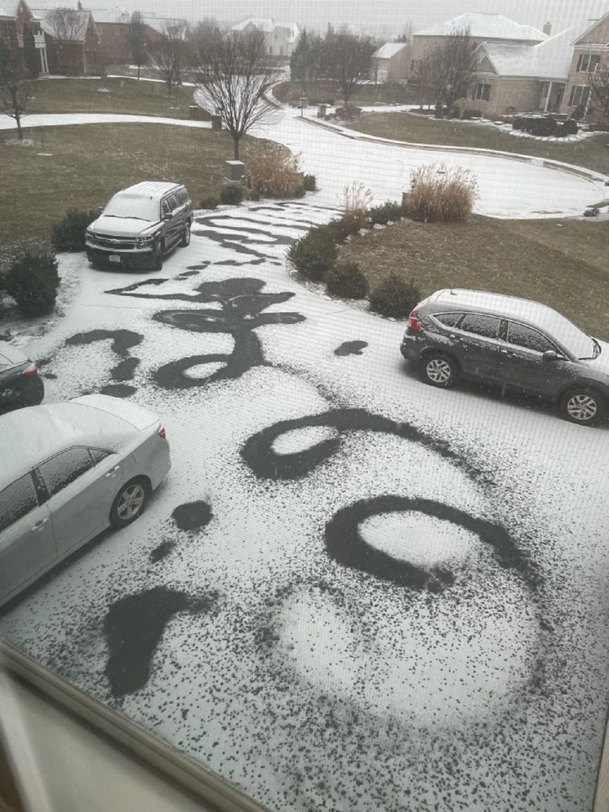 “Here is how my brother ‘salted’ the driveway”