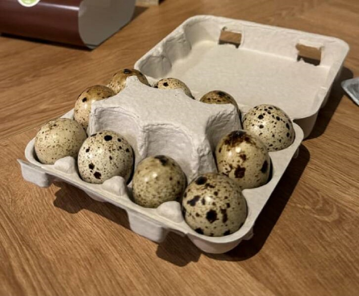 "We bought 12 quail eggs for price of 12. We got 10 due to clever packaging."