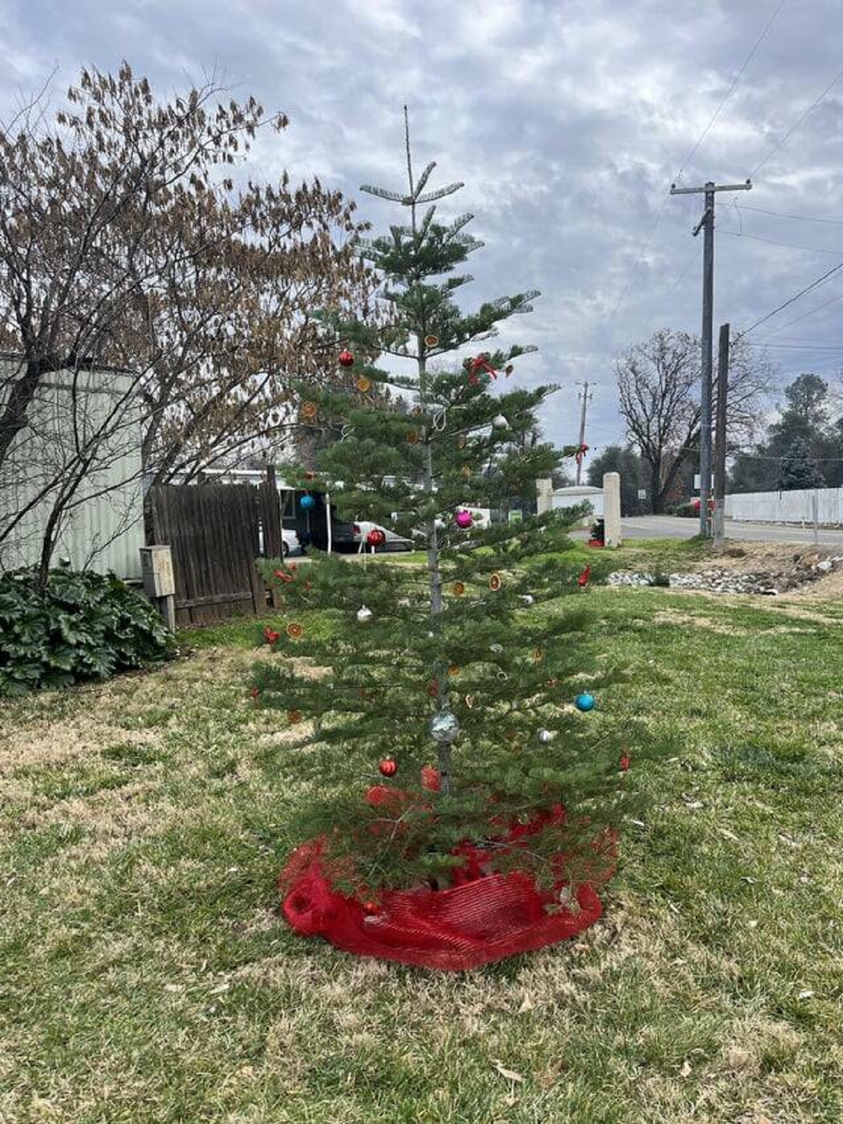 "Surprised a mobile home park with a 10ft Christmas tree and it was stolen the next day"