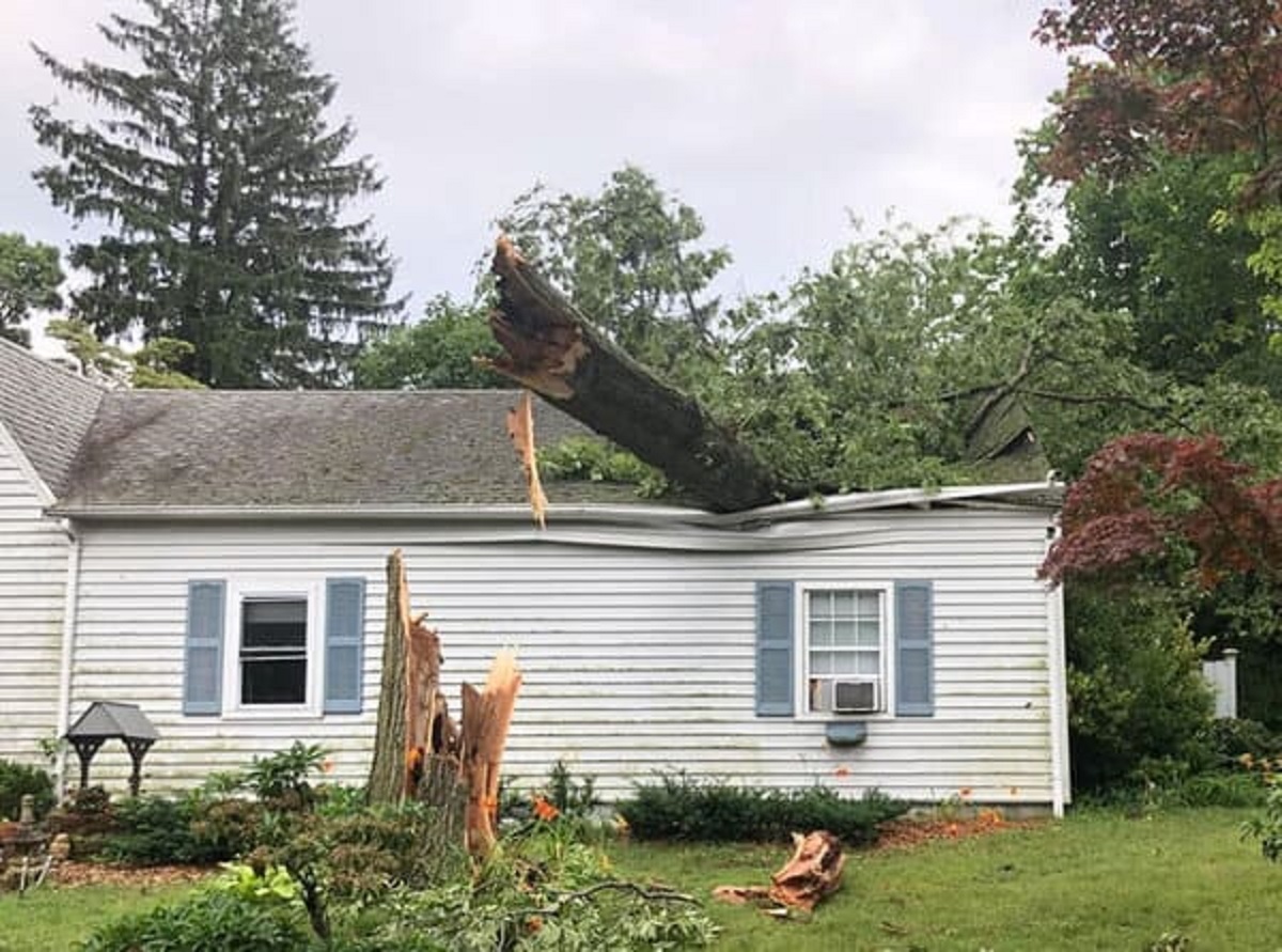 Ignorance in process with my neighbor. They have a very large Oak in their front yard. Its worked its way into their septic and the trunk is only about 10ft from the house. All of the weight is to one side and about 10 years ago the soil was flat around the whole trunk. Hurricane came in, all the sudden the back is elevated a bit. Told the owner, he moved, told the new owner. They have ignored it, then this last year the back soil raised about 2-3 inches in a day. The opposing side, the ground has sunk a couple inches. Bottom line is the tree is leaning bad, neighbor was told again. It is going to fall, just a matter of when. The way it sits and leans, it will destroy their septic system, any cars in the driveway, and take out the front 10ft of their garage. The trunk could hit the house and do a lot of damage, but the roots pulling will damage the foundation for sure. The roots also have their water line running through them so they will lose water. They could spend 3k now and remove it but will probably let it do $50-150k in damage instead.