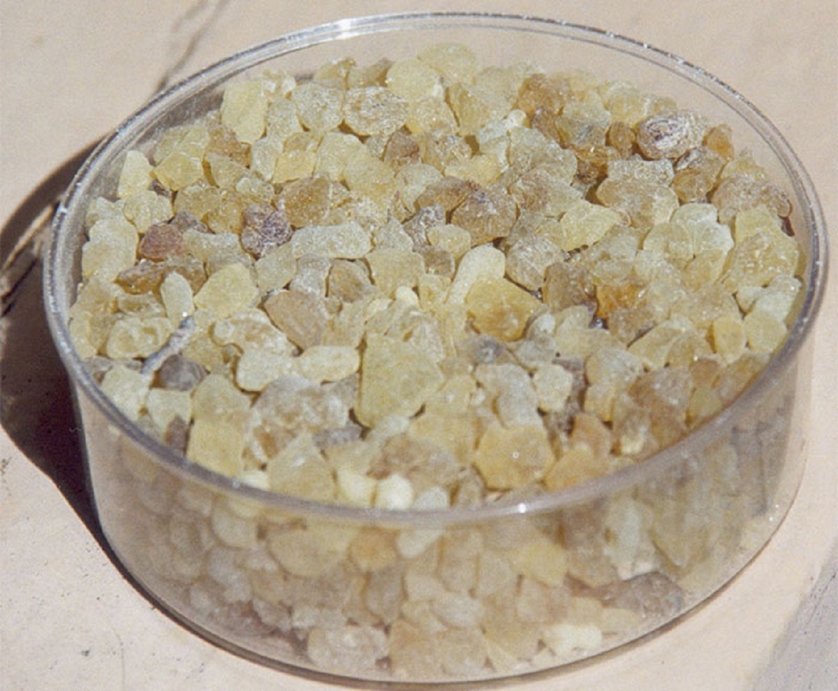 frankincense and myrrh are the dried sap of trees, also known as resin.