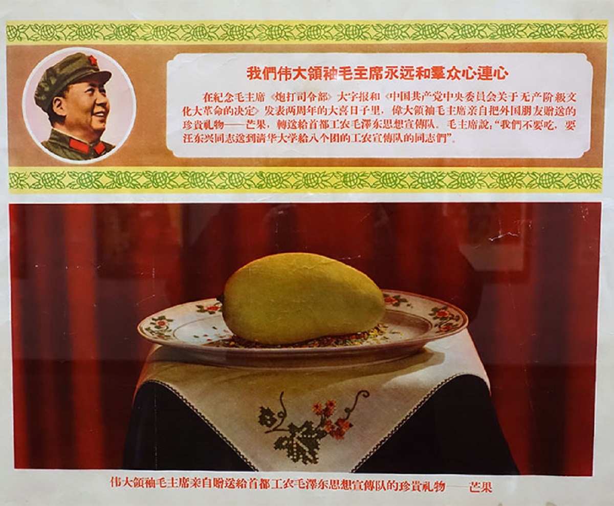 that Mao Zedong gave out a box of mangoes gifted to him by Pakistan. A cult formed in China for the unfamiliar fruit. Replicas were made and publicly displayed. One man said that the fruit didn't look like anything special, and was shamefully paraded around his town and then publicly executed.