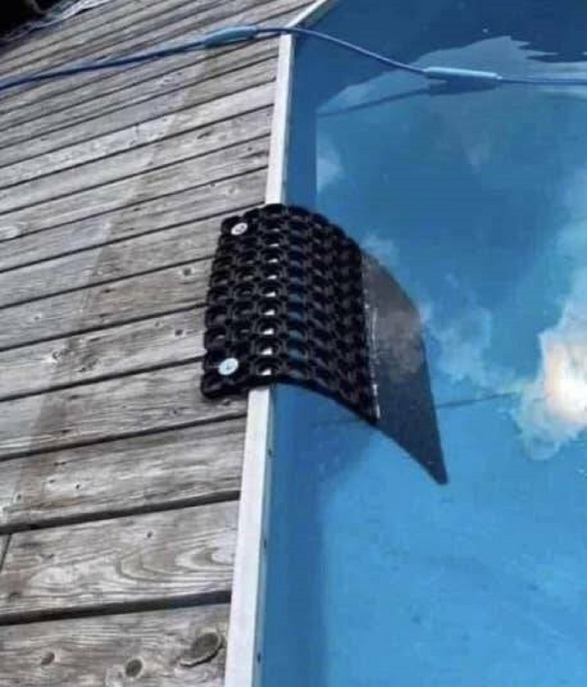 "A simple doormat could save the life of a beloved pet or wild animal who has fallen into an unsupervised pool."