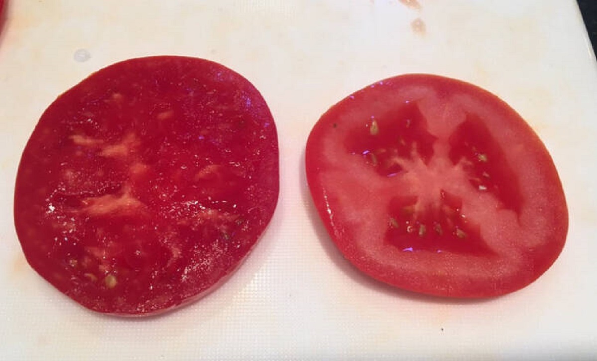 “Tomato on the left grown on my grandmother’s farm vs one bought at the grocery store.”