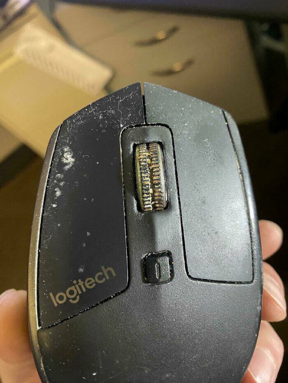 "This Mouse My Coworker Set Up At Our Workstation"