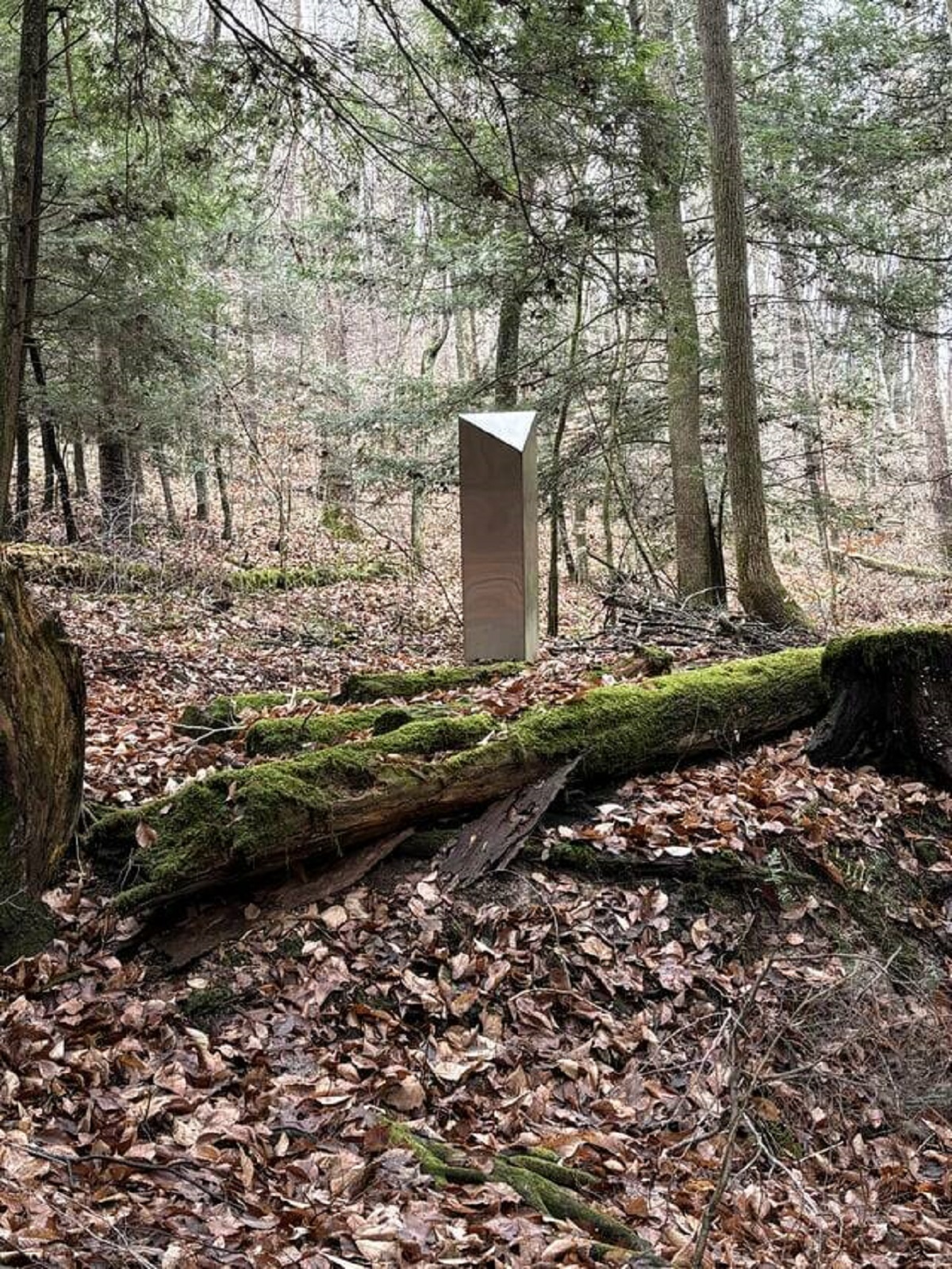 "Metal obelisk found in the middle of the woods"
