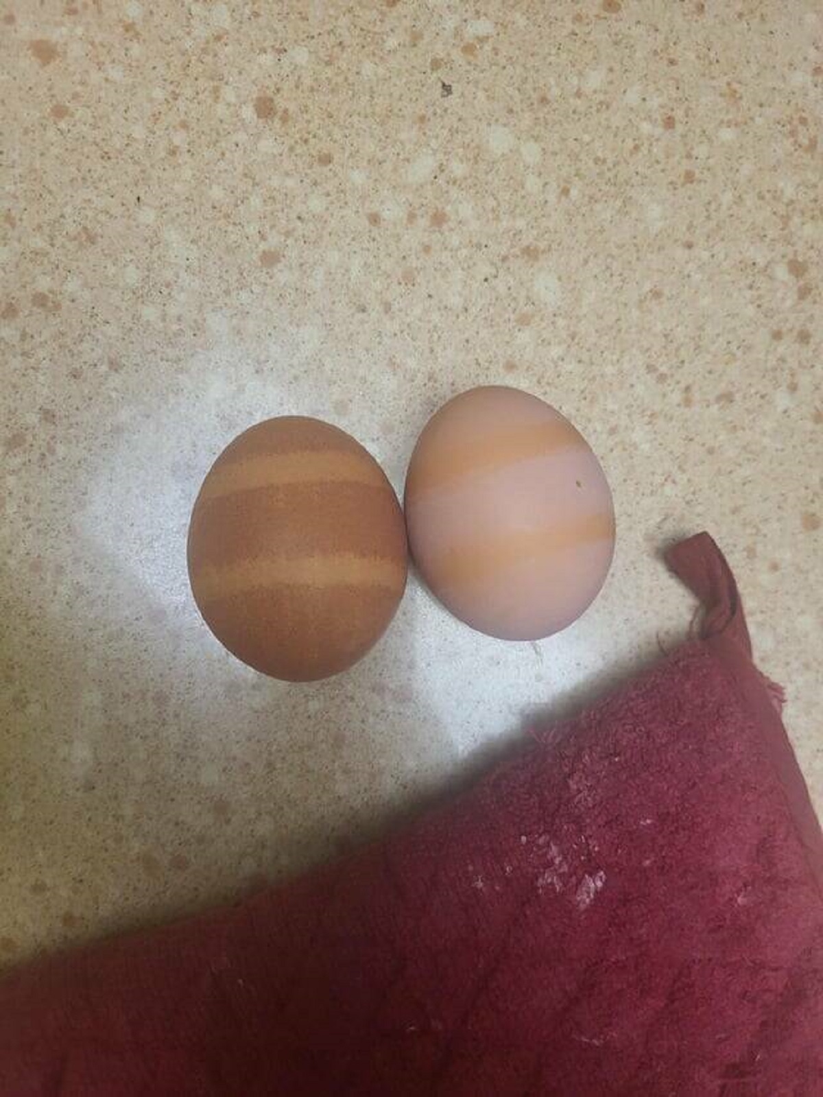 "These striped eggs I took from my free range chickens"