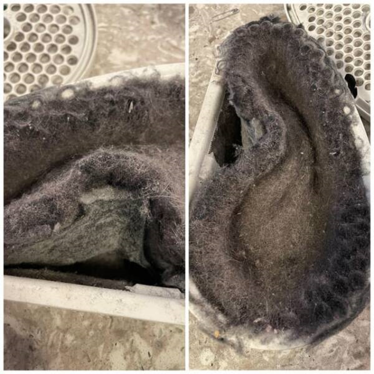 "The lint trap in my friend’s Airbnb"