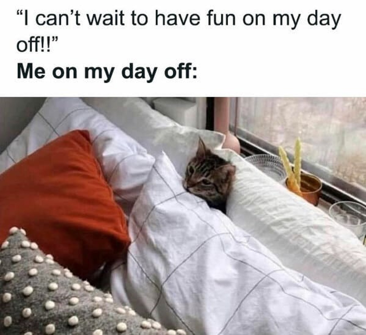 40 Memes You Might Be Able To Relate To.