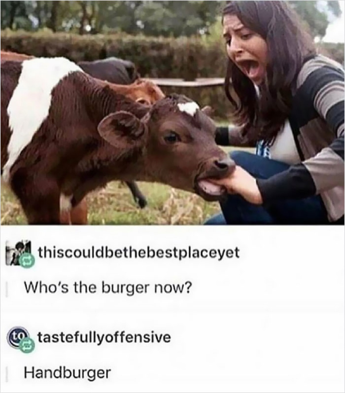 funny replies better than the original - photo caption - Pase thiscouldbethebestplaceyet Who's the burger now? to tastefullyoffensive Handburger