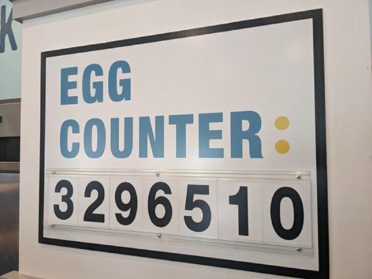 signage - Egg Counter 3296510