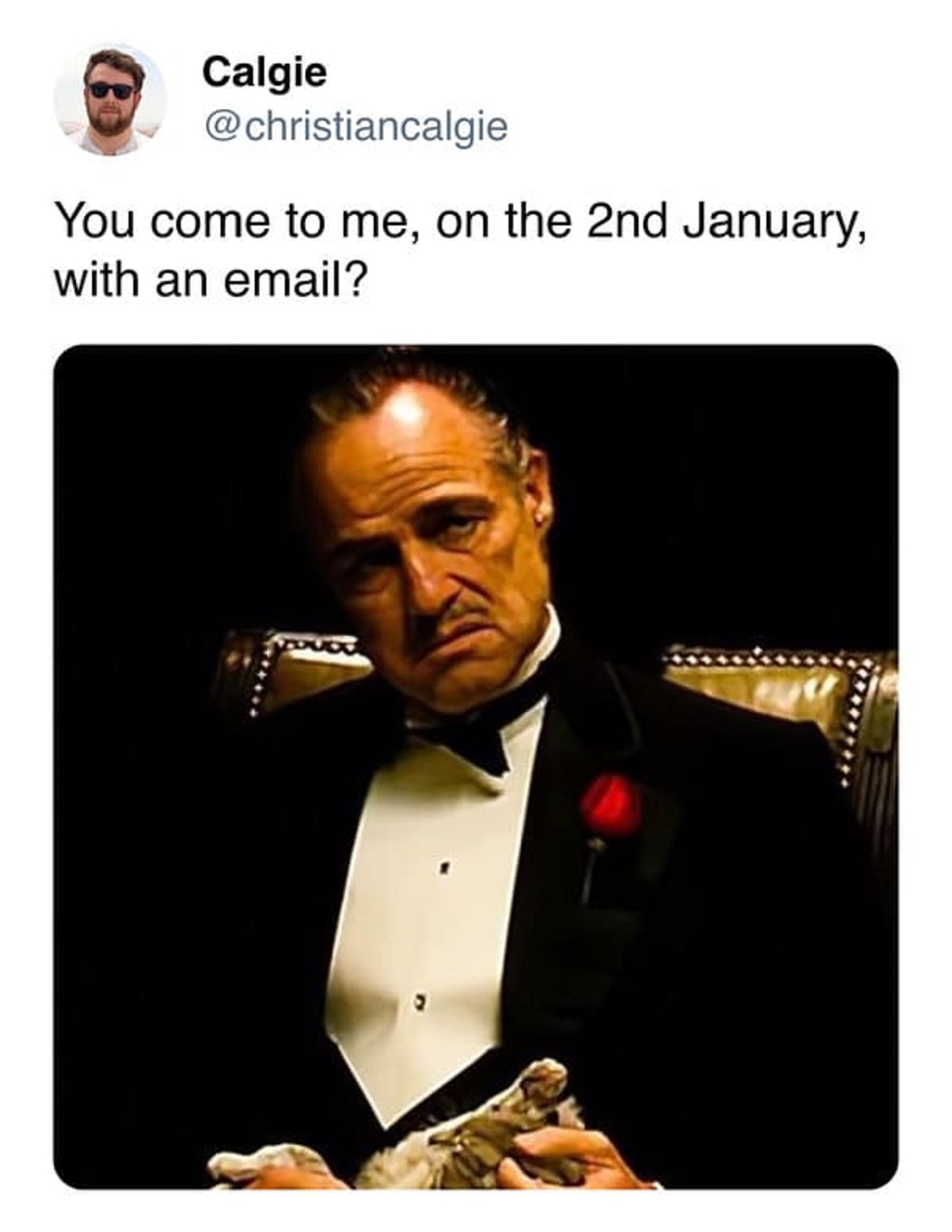 gentleman - Calgie You come to me, on the 2nd January, with an email?