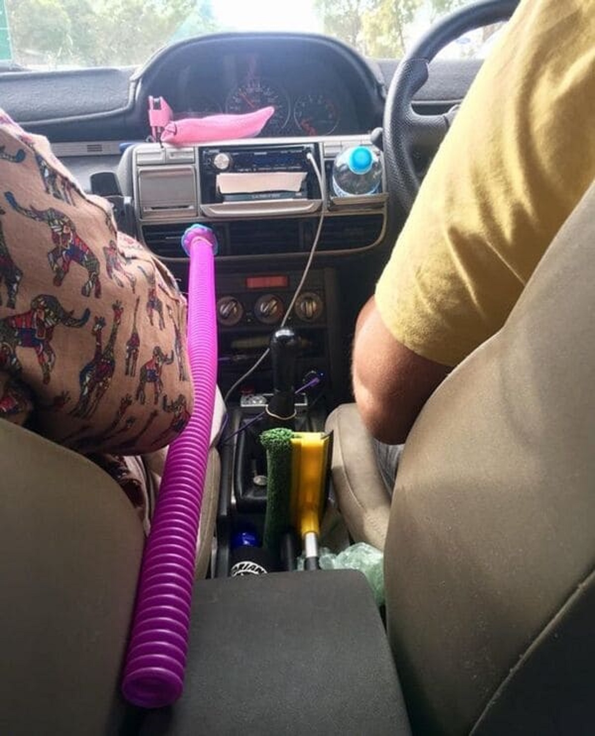 “My mom and sisters’ attempt at providing air conditioning in the back for me — it did the trick!”