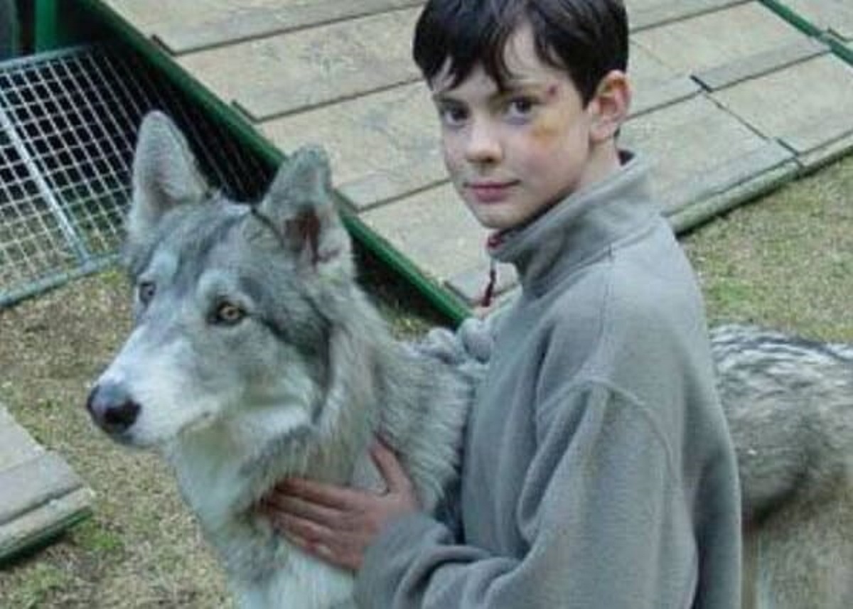 the wolves/dogs used to film The Chronicles of Narnia: The Lion, the Witch, and the Wardrobe (2005) had to have CGI butts/tails because they were too happy to appear menacing.”