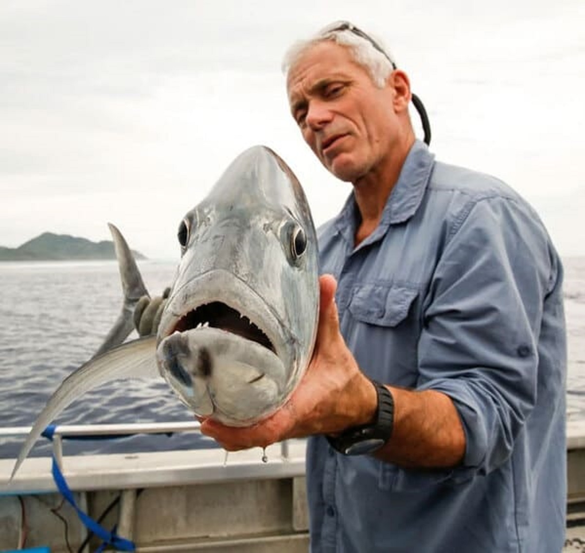 that the Animal Planet reality series ‘River Monsters’ ended because star Jeremy Wade was able to catch essentially every exceptionally large freshwater fish species on earth, leaving no remaining content for the show.”