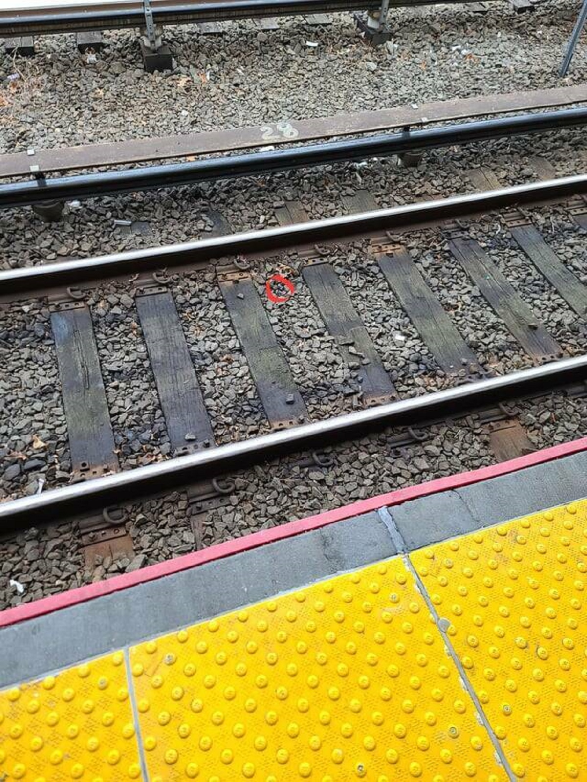 "Dropped one of my wireless earbuds on the train tracks all of 10 minutes into the 3 hour trip"