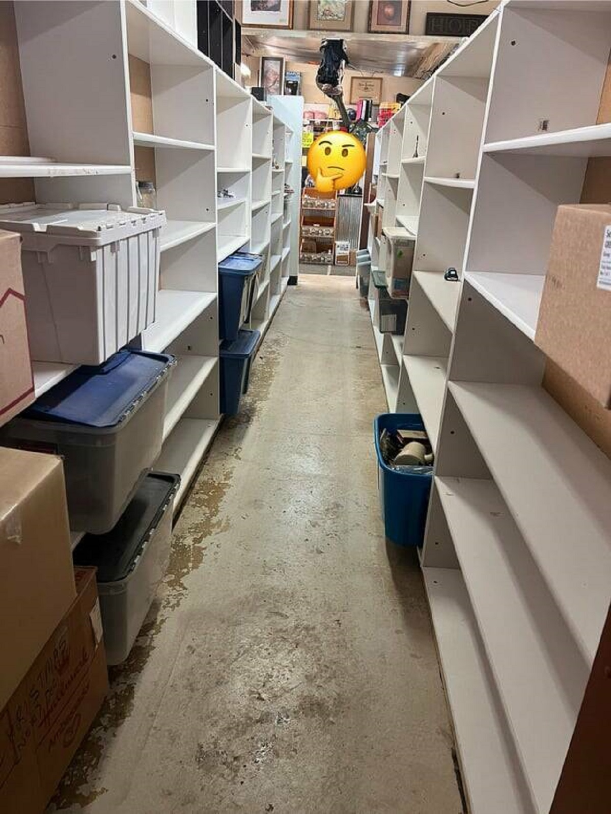 "Drove an hour to my favorite thrift store for their 1/2 sale and this was their shelves…"
