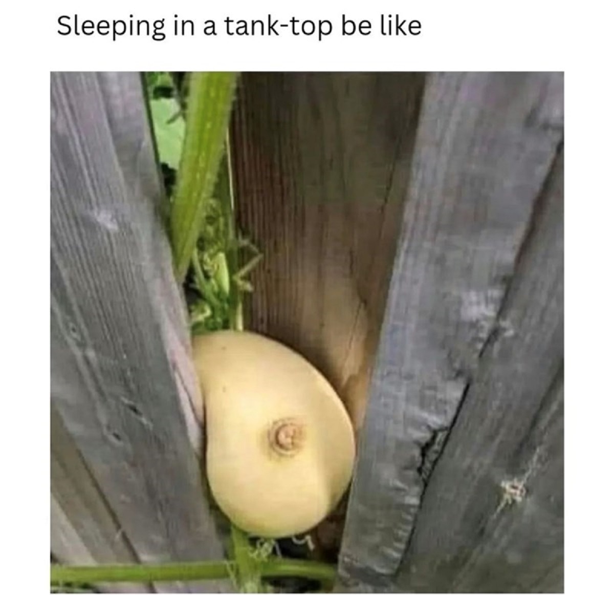 spicy memes -  she falls asleep in a tank top - Sleeping in a tanktop be