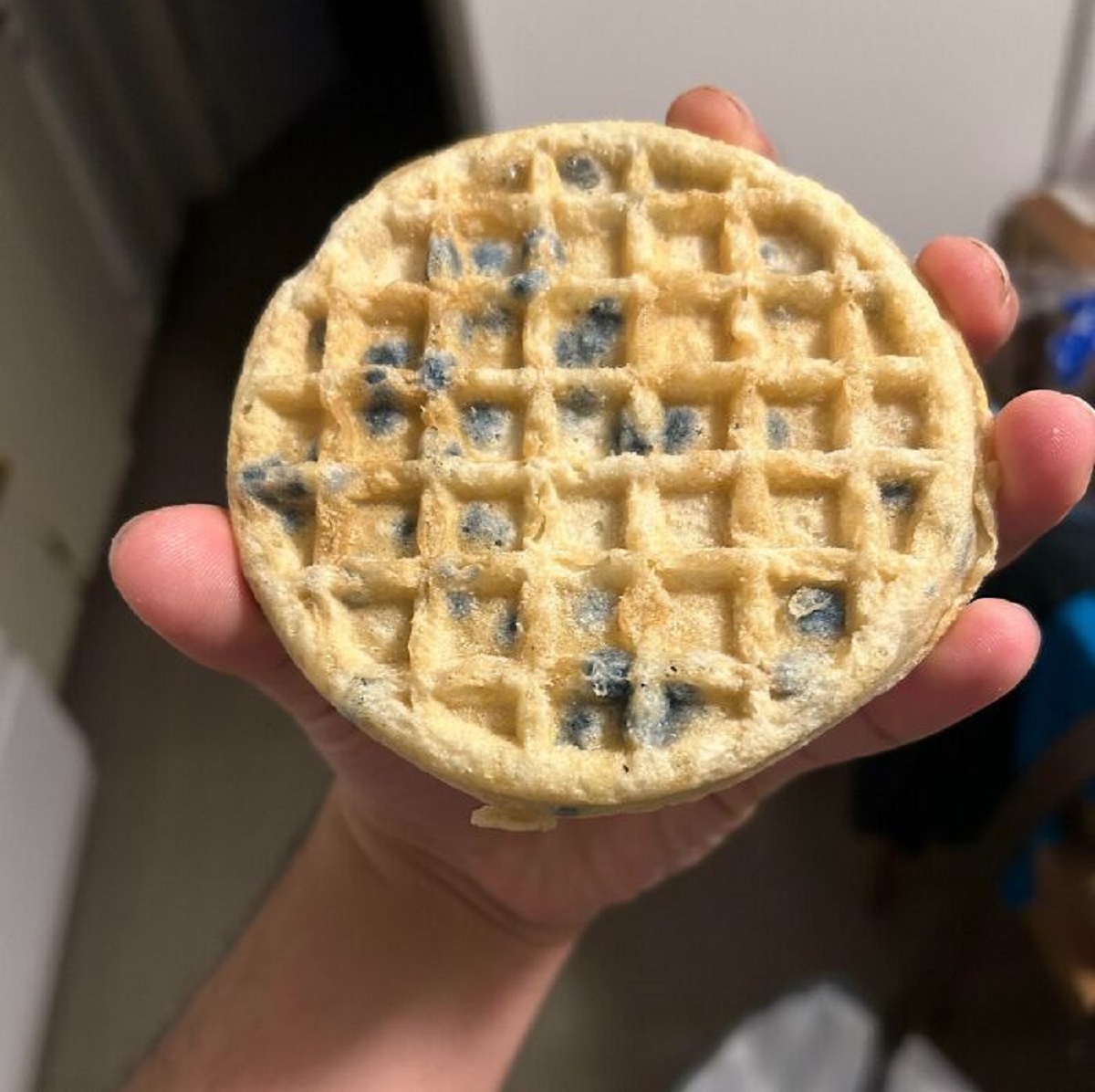 “After eating two of these blueberry waffles, i went to heat up two more and saw that the package was for plain waffles. I ate mold.”