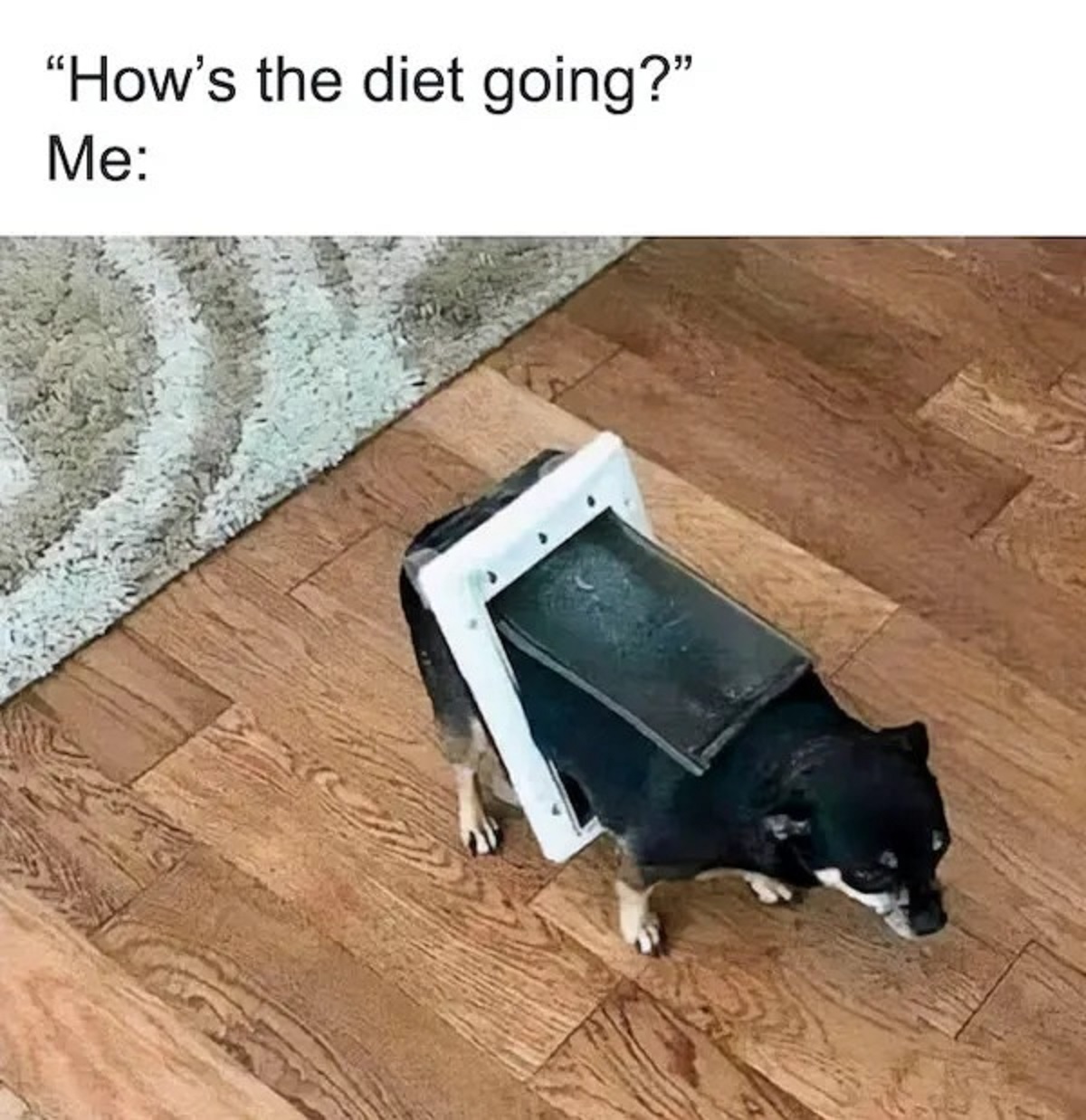 photo caption - "How's the diet going?" Me
