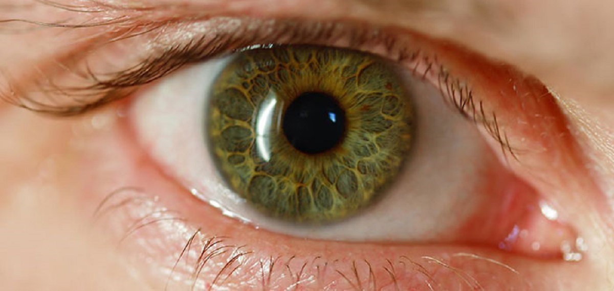 I just recently learned that your immune system does not know your eyes exist. If they did, they'd attack the eyes and destroy your vision. I believe it's a foreign object for them.