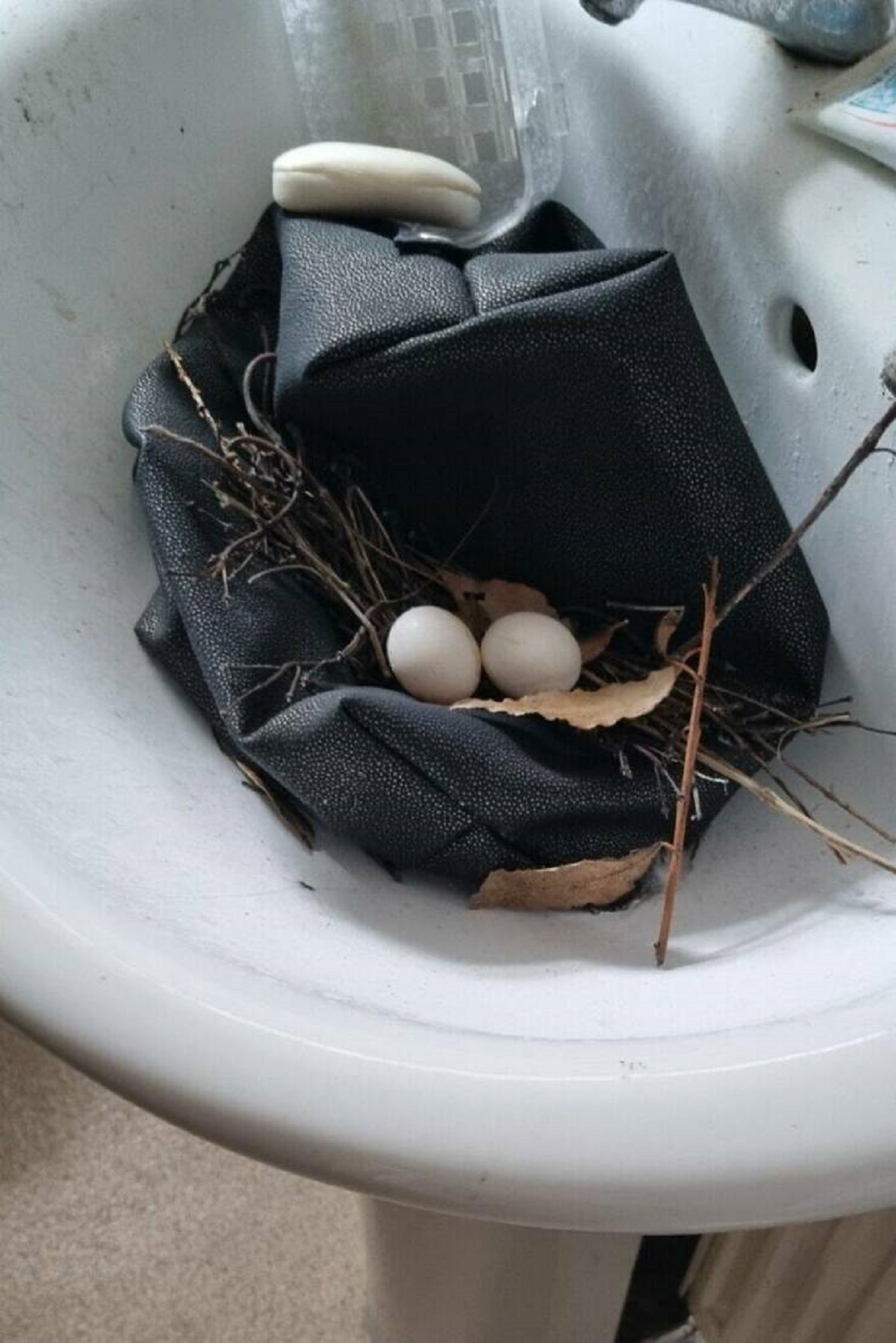 "Left My Bathroom Window Open For 3 Weeks Whilst I Was Away And A Bird Laid A Nest In My Sink"