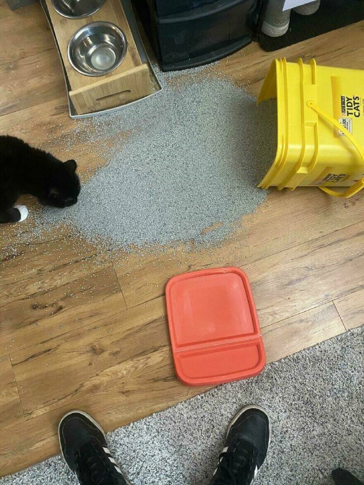 "I Have 30 Seconds To Sweep This Up Before The Cat Pees On It"