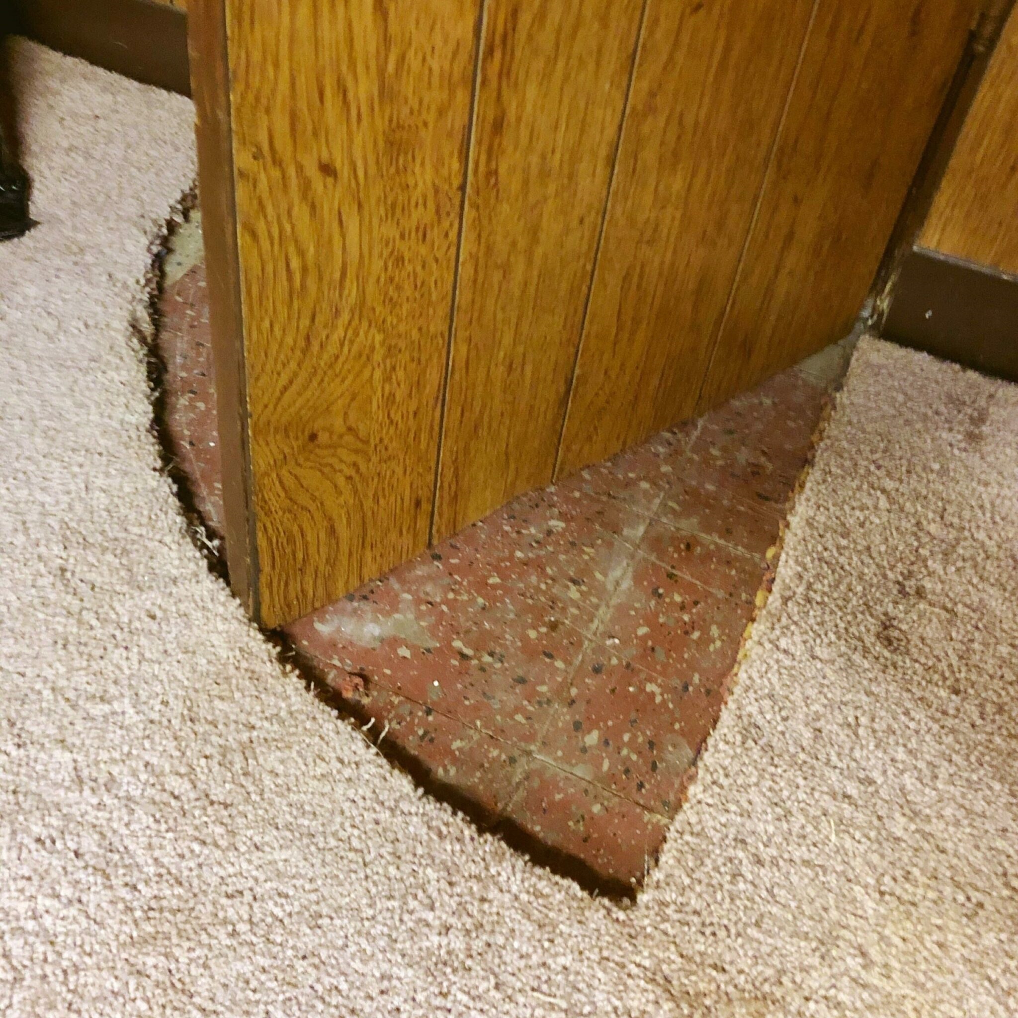 Why cut the door when you can cut the carpet instead! (Found in new house basement.)