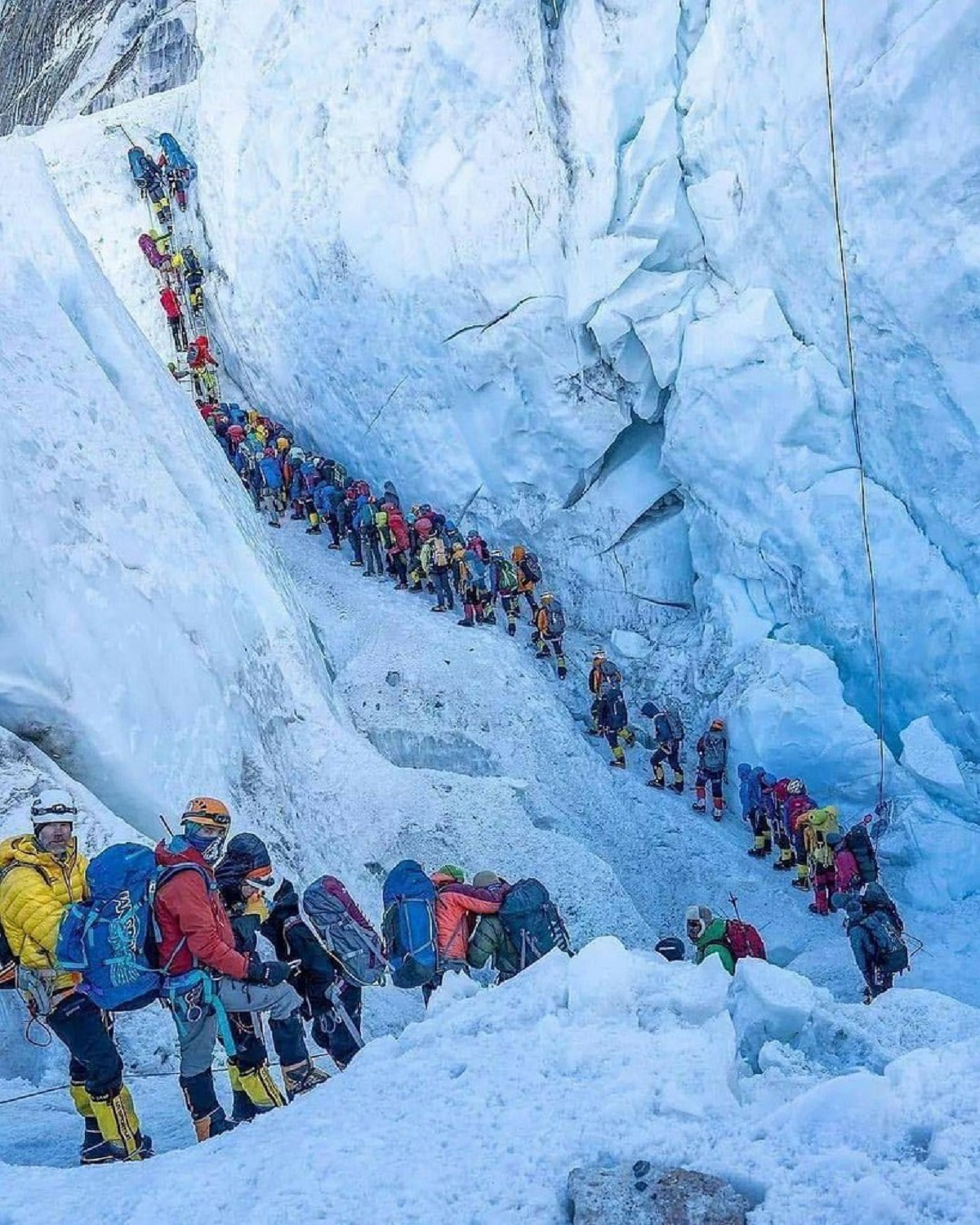 Climbing mount Everest : the queue at Khumbu icefall