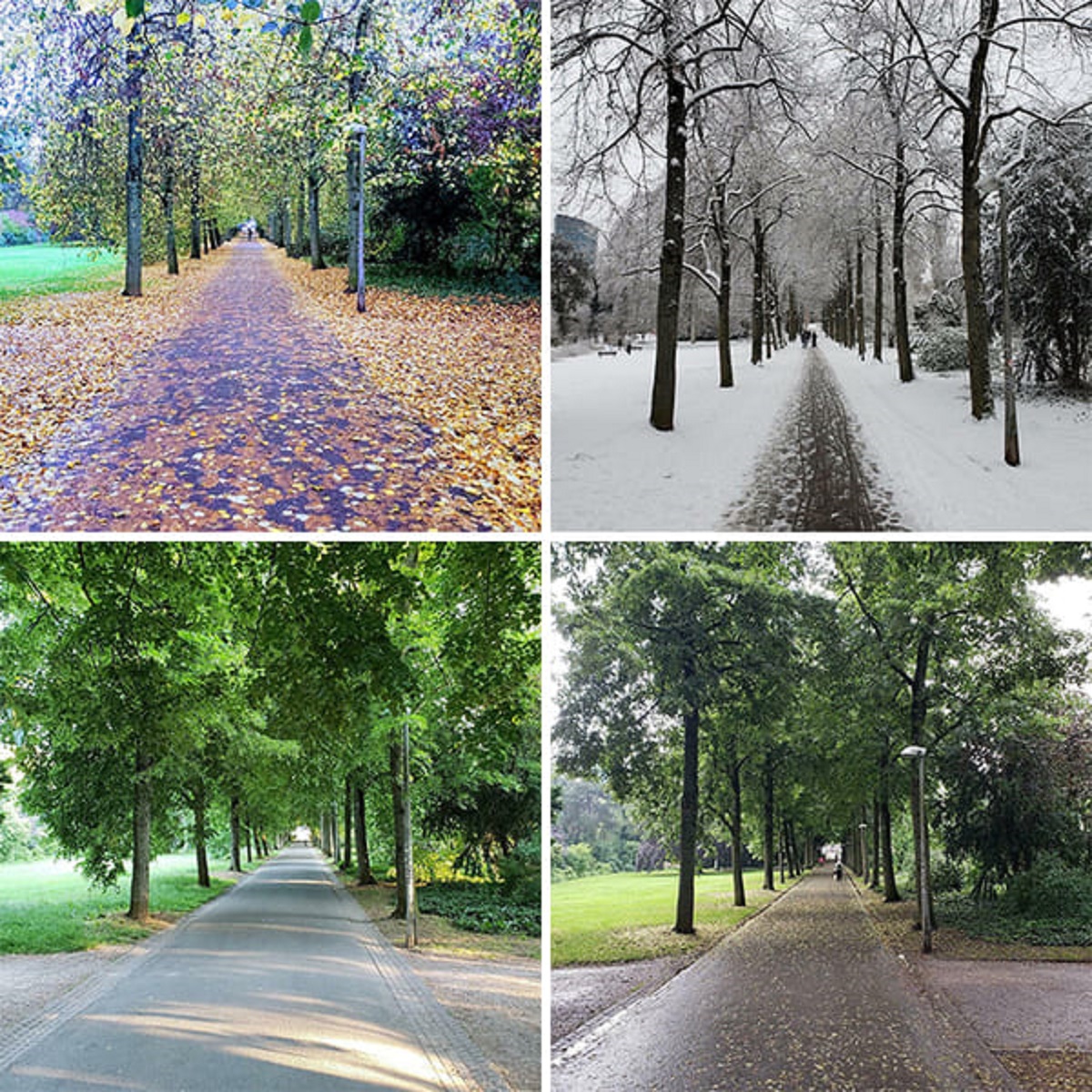 “I Took A Photo From The Same Spot In All 4 Seasons”