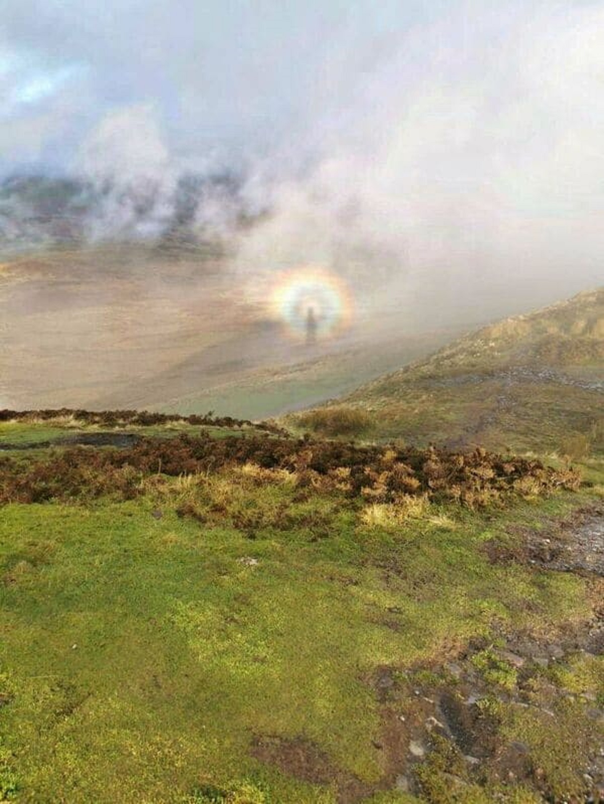 “The Way My Silhouette Appears Within This Circular Rainbow”