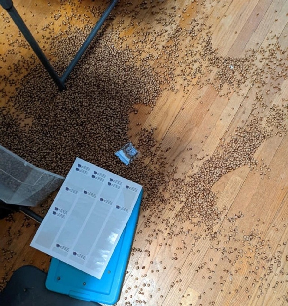 “Dropped 10 pounds of beads on the floor today at work. Boss was not happy.”