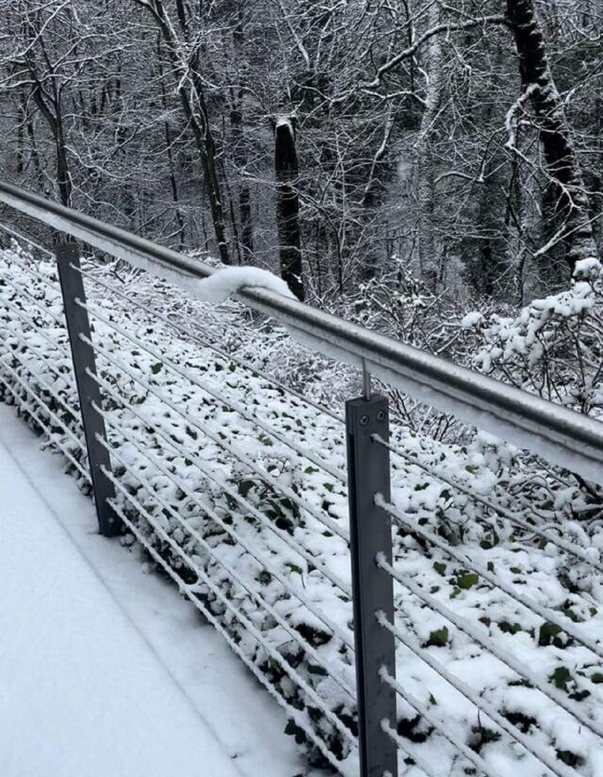 "The way the snow curves around this railing"