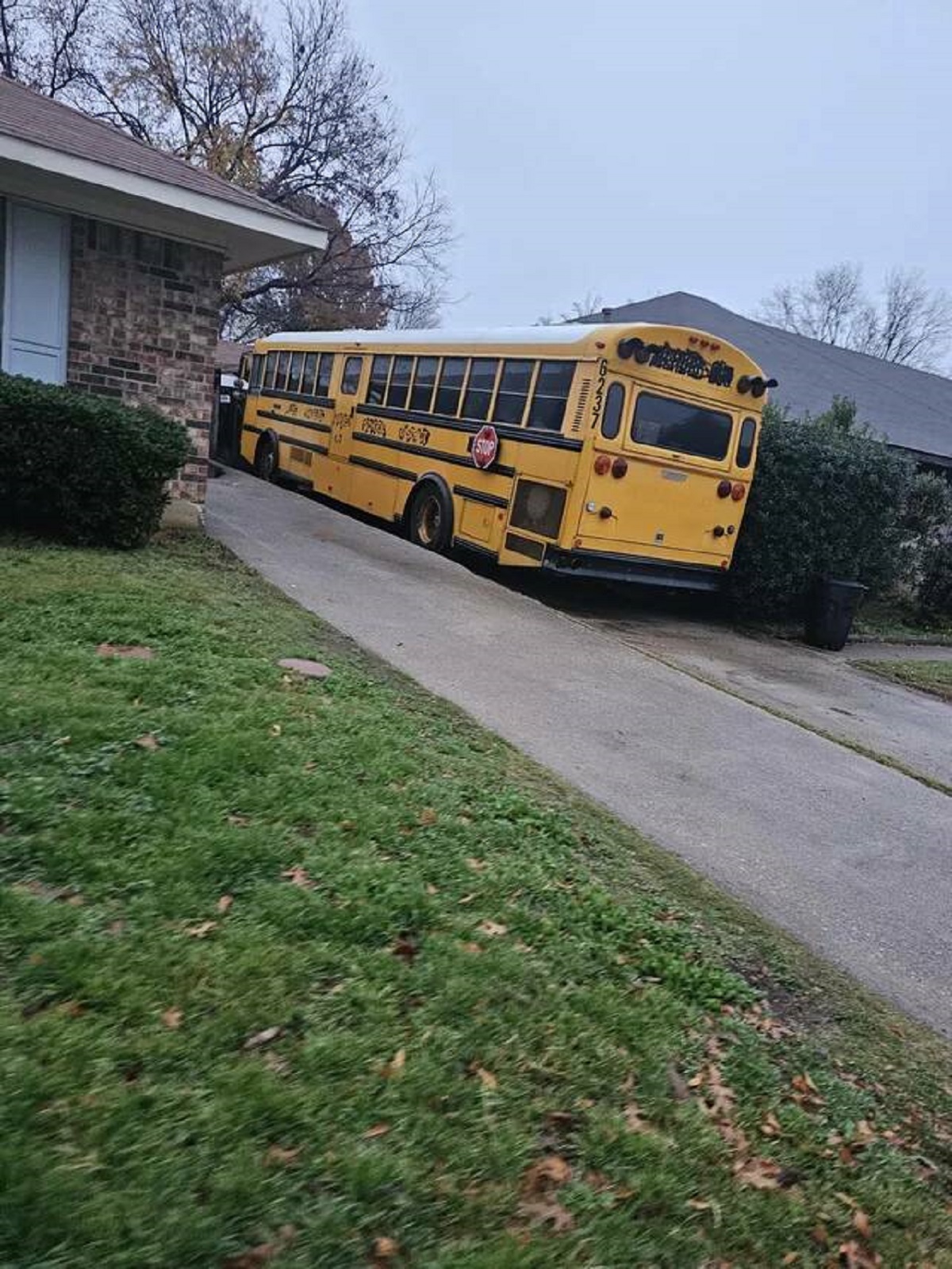 "My neighbor bought a school bus"