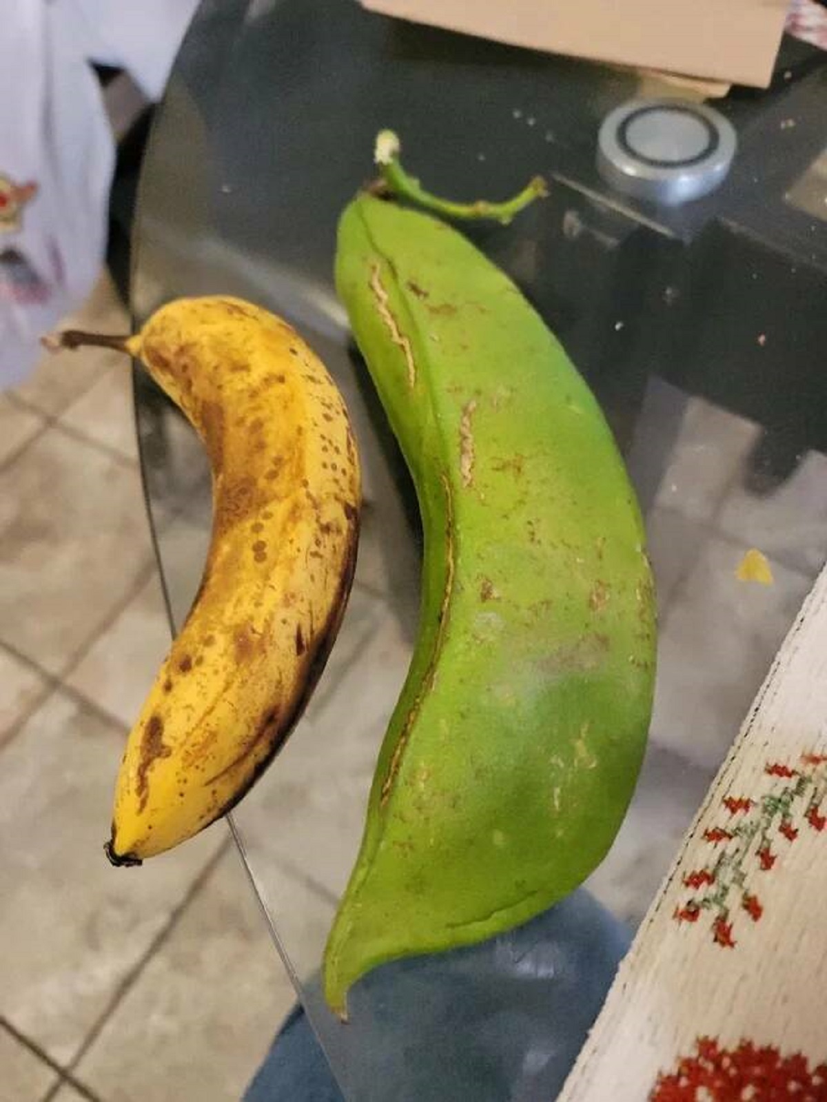 "My father grew this bean in his backyard"