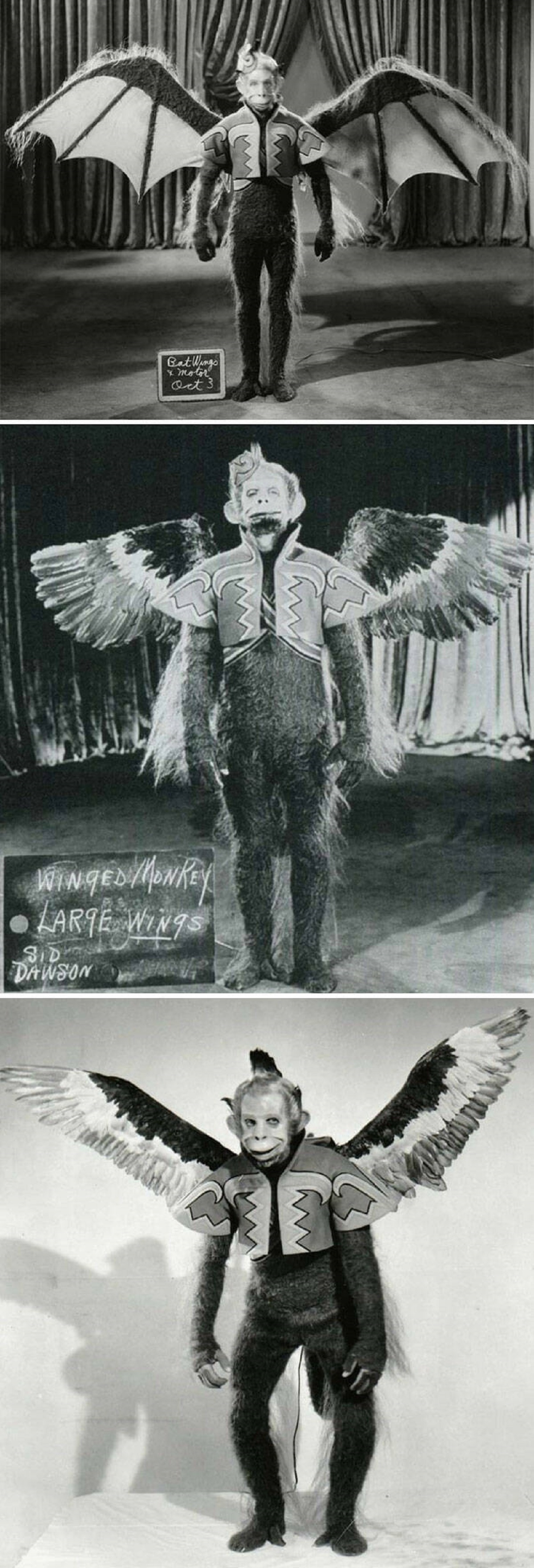 "Flying Monkey Costume Tests To Pick The Perfect Wings For The Wizard Of Oz, 1939. Also Exactly How I Look Picking Out My Outfit Each Morning"