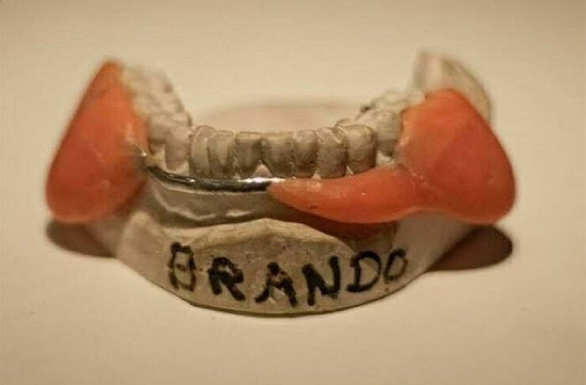 ""Dental Plumper" Jaw Prosthetic Worn By Marlon Brando In The Godfather (1972). Brando Wanted Vito Corleone To Have Jowls Like A Bulldog, So He Stuffed Cotton Balls In His Mouth During His Audition"