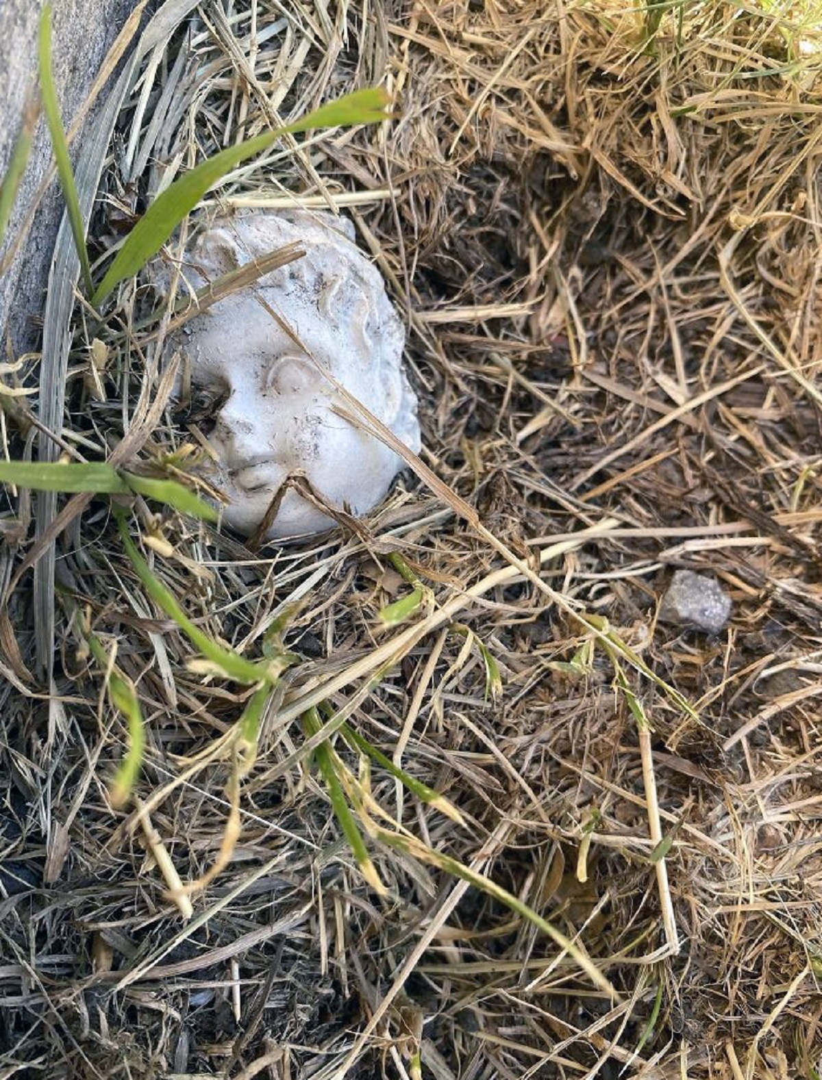 Noticed This Tucked Near The Edge Of The Fence In My New Place. I Think I'm Keeping It There